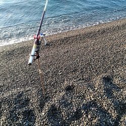 残念小型でした(#^^#)