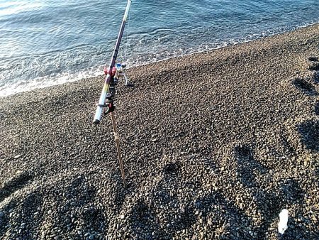 残念小型でした(#^^#)