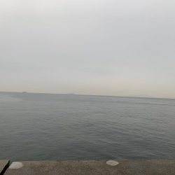 初釣りのロッド入魂