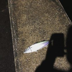 ライトゲーム ！！