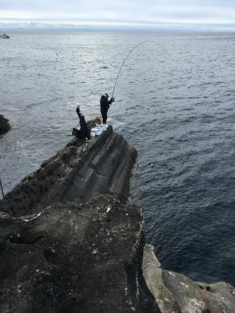 牟岐大島3番ピストル裏