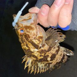 極上メバリング