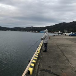 コウイカ&まさかのマゴチ