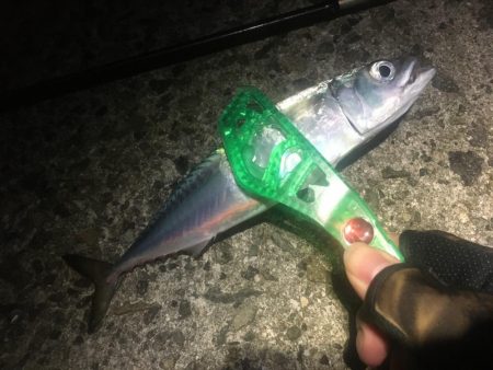 今週末また連日淡路島!2日目