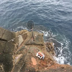 8番ヒッツキ低でグレ