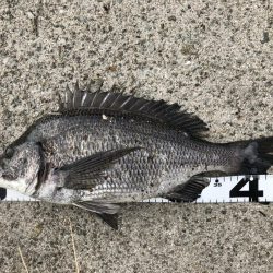 イチノ兄弟、釣果！