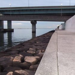 初釣りは、ボラ、コノシロ、チーバス