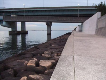 初釣りは、ボラ、コノシロ、チーバス