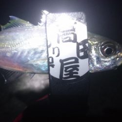 いよいよ終了？！