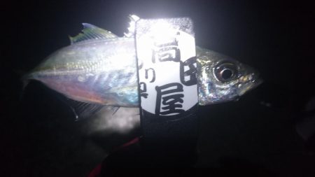 いよいよ終了？！