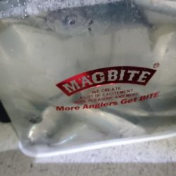 まだまだ釣れるアジ！！