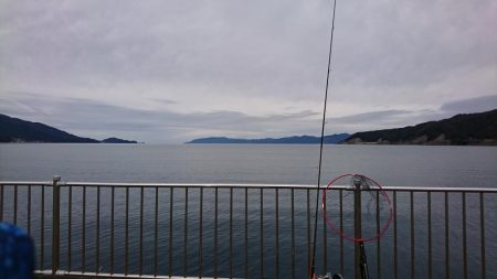 念願のシーバスGET