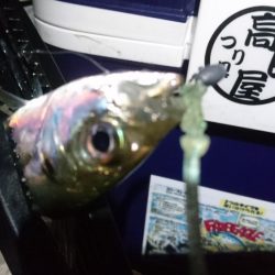 今夜もアジ！！