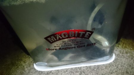 好調アジング！！