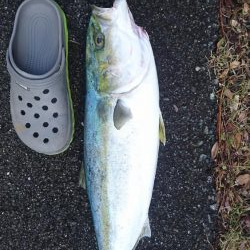 釣り納めショアジギング
