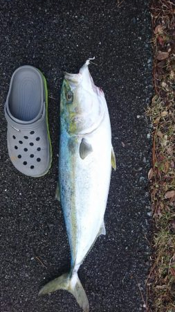 釣り納めショアジギング