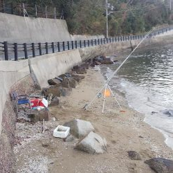 令和2年1月4日 室津で投げ釣り