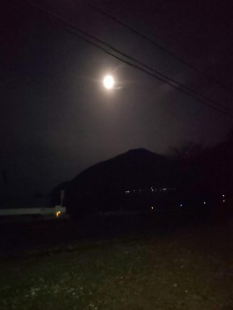 初釣りはガシラ祭り