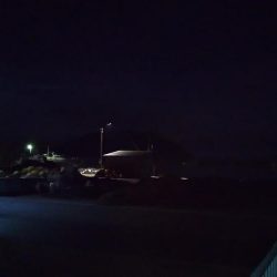 イカを釣りたくて