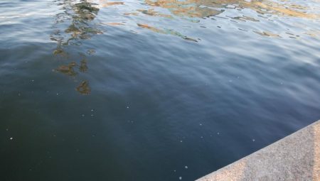 タチウオいつまで釣れる