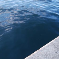 諦めるな！！まだ釣れるぞ～