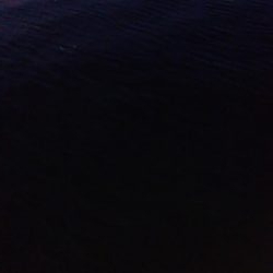 あきらめたらそこでｼｰｽﾞﾝ終了だよ