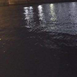 ぶらシーバス！！