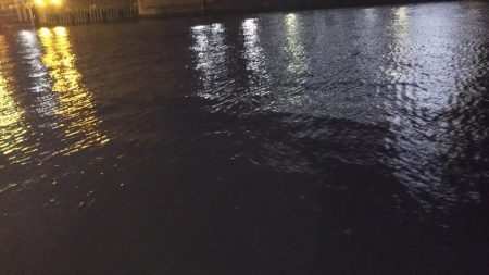 ぶらシーバス！！