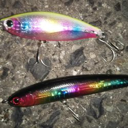 ぶらシーバス！！