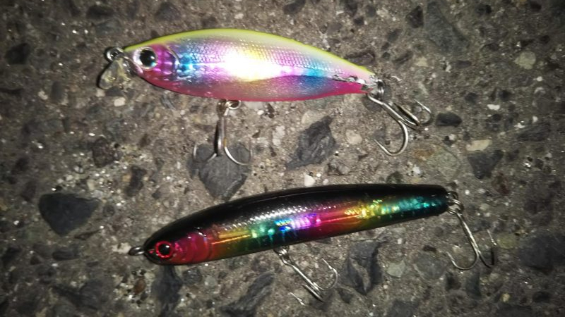 ぶらシーバス！！