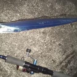 ぶらシーバス！！