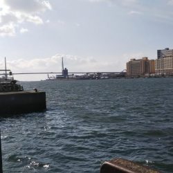 ぶらロックフィッシュ！！