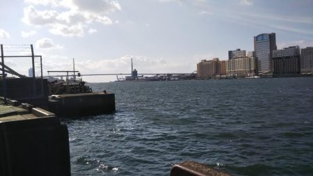 ぶらロックフィッシュ！！