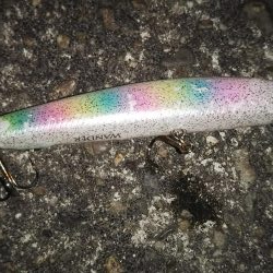 ぶらシーバス！！