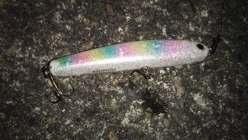 ぶらシーバス！！