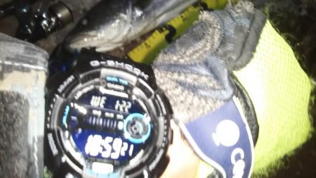 ぶらシーバス！！