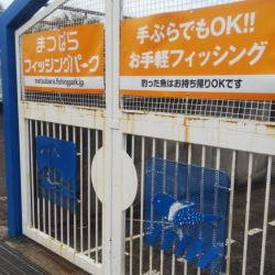 松原フィッシングパーク
