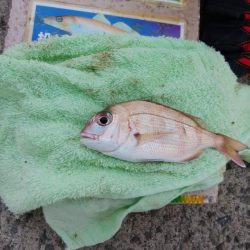 深場の福良でキス狙い