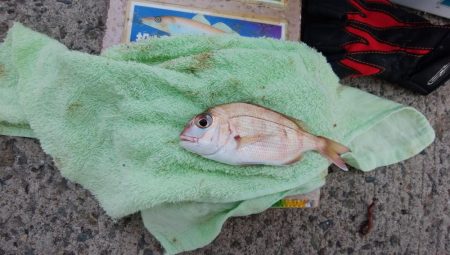 深場の福良でキス狙い