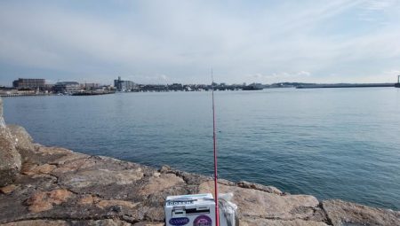 白灯台波止でキス狙い