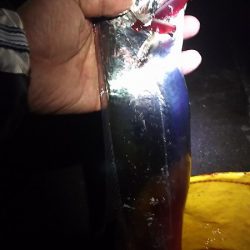 和歌山遠征。1月2回め。