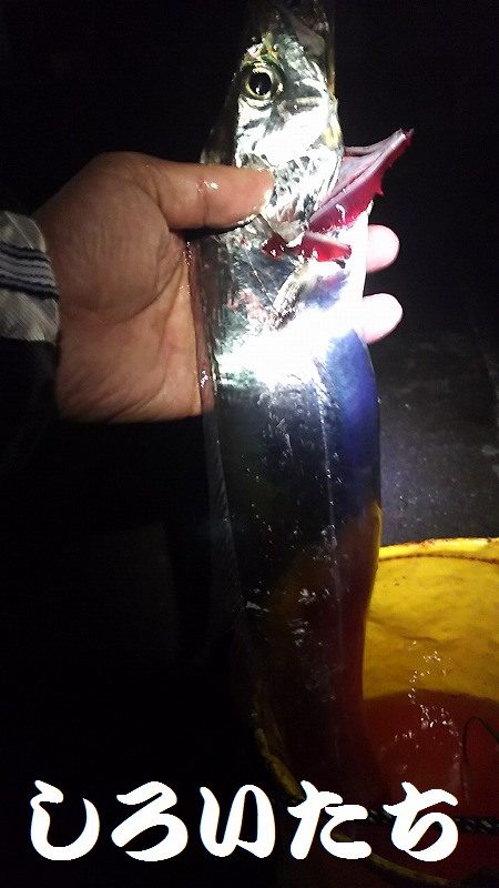 和歌山遠征。1月2回め。