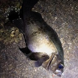 日本海単独遠征