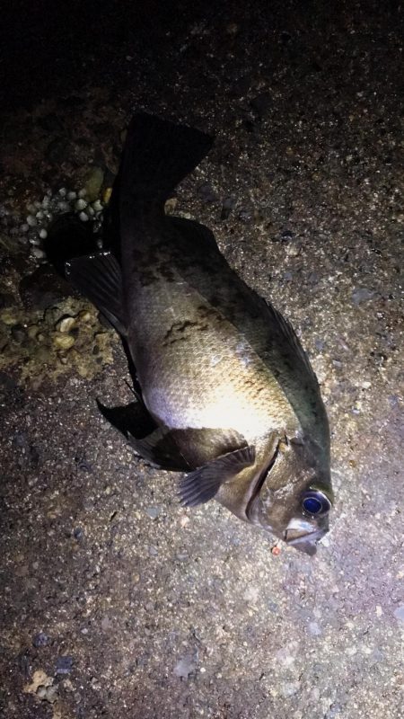 日本海単独遠征