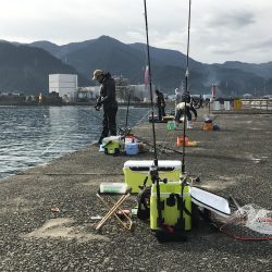 カマス今だ好調