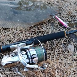 ヒラメゲット!!