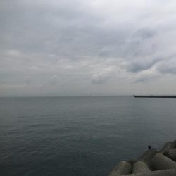 大満足の初釣行