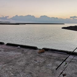 港でワーム、ギンガメアジ