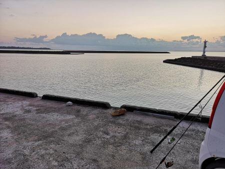 港でワーム、ギンガメアジ