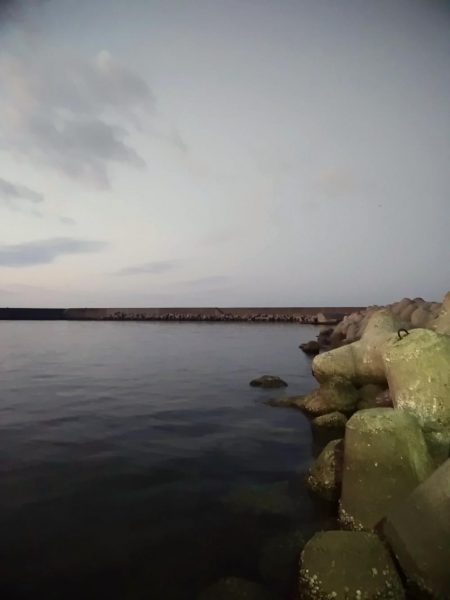 強風ジグ単アジング